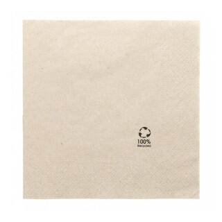 Салфетка двухслойная ECO, 40*40 см, 100 шт/уп, Garcia de Pou Испания