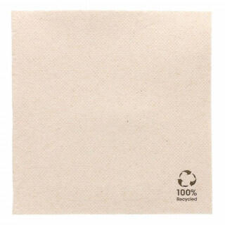 Салфетка бумажная Double Point ECO двухслойная, 25*25 см, 50 шт, Garcia de Pou Испания
